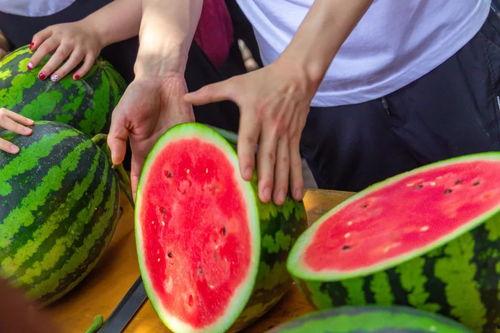 免费版吃瓜,揭秘娱乐圈幕后真相